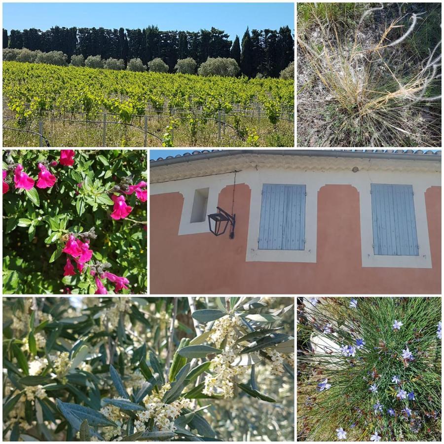 La Cabane du Pesquier en Provence Caumont-sur-Durance Exterior foto